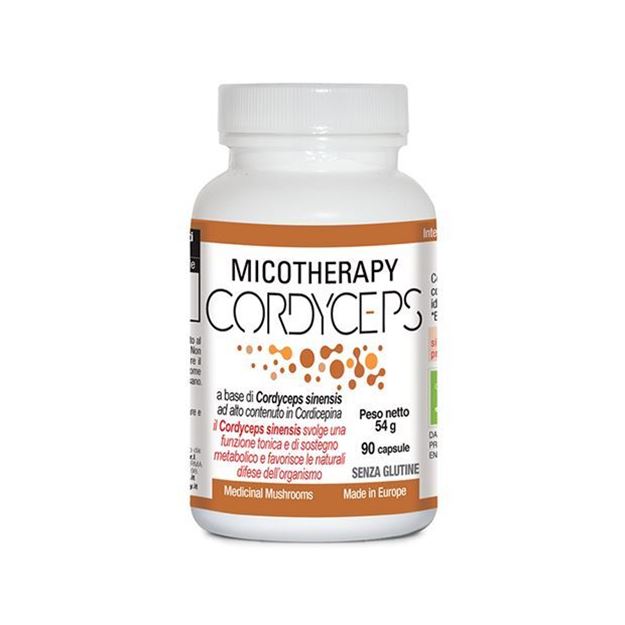 Picture of Micotherapy  Cordyceps