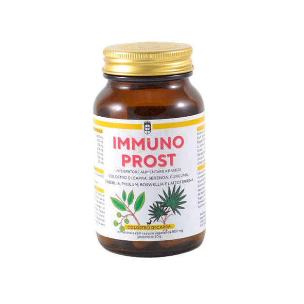 Picture of Immuno Prost - Supliment Alimentar pentru Sănătatea Prostatei